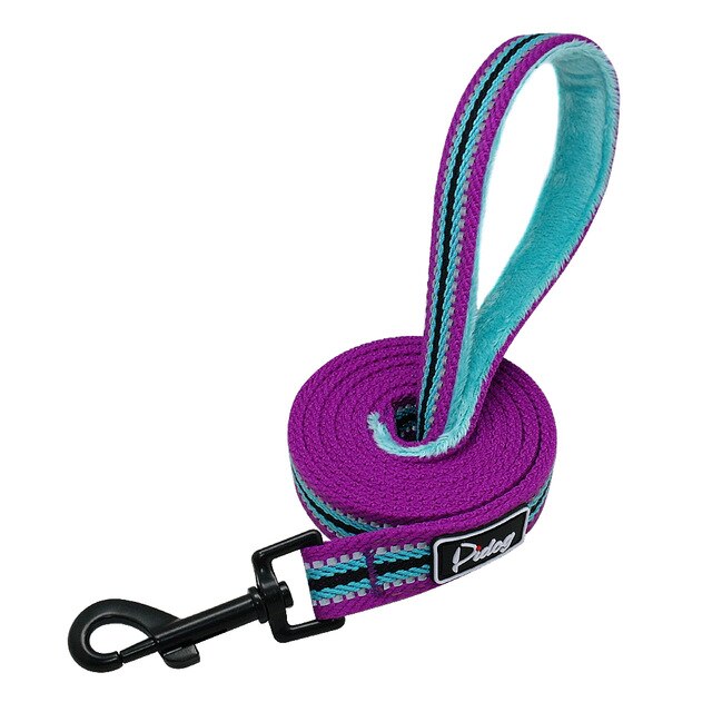 Striped Dog Leash.