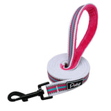 Striped Dog Leash.