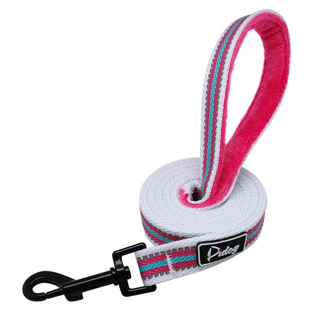 Striped Dog Leash.