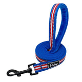Striped Dog Leash.