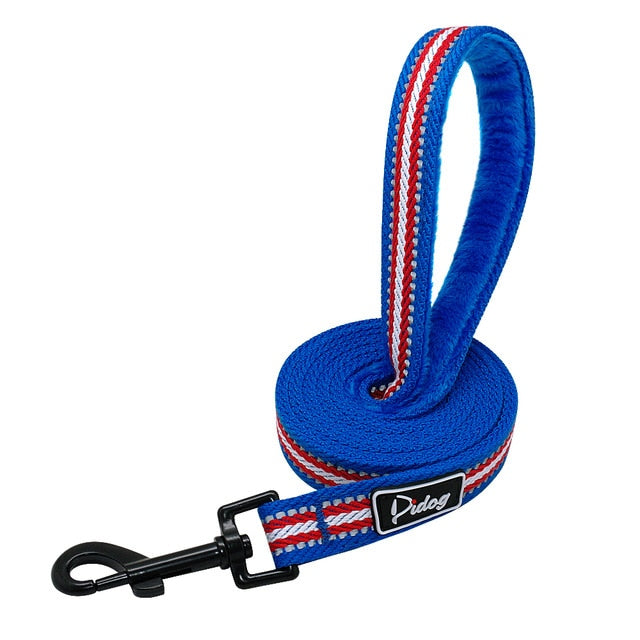 nylon dog leash blue color