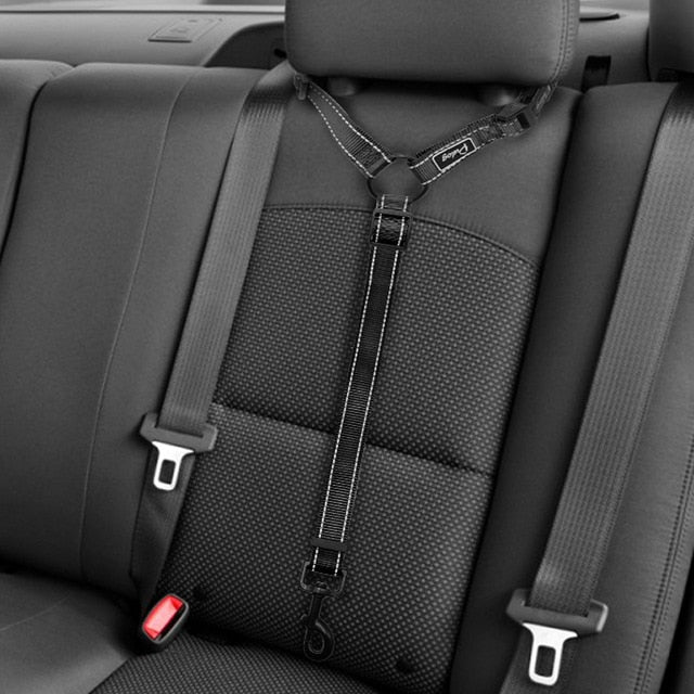 Adjustable Dog Seat Belt Leash.