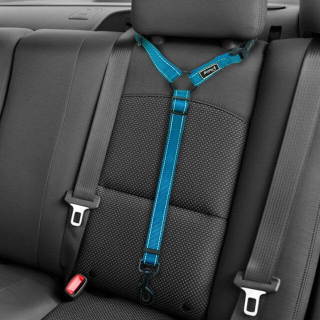 Adjustable Dog Seat Belt Leash.