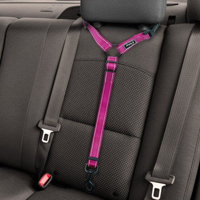 dog leash with seat belt attachment
