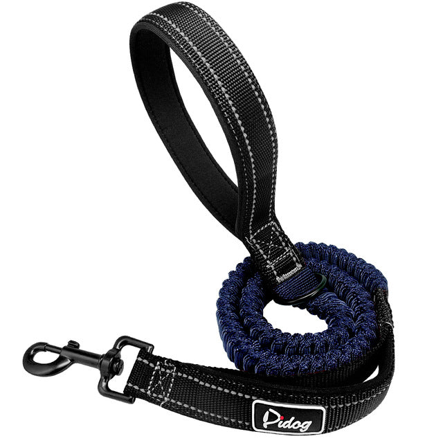 Bungee Running Dog Leash.
