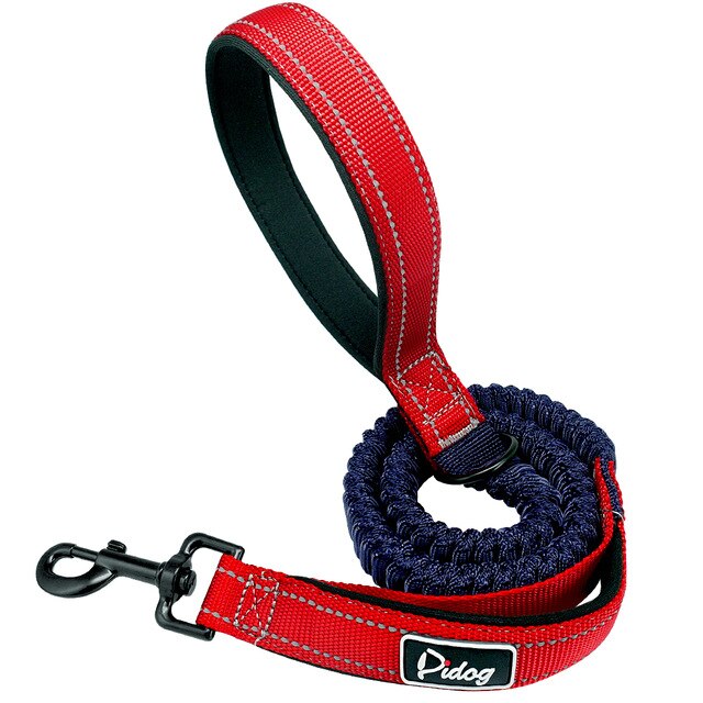 Bungee Running Dog Leash.