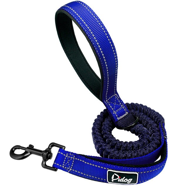 Bungee Running Dog Leash.