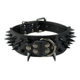 Dog Leather Spiked Collar.