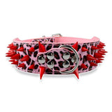 Dog Leather Spiked Collar.