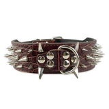 Dog Leather Spiked Collar