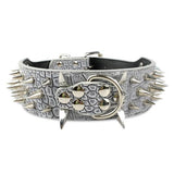 Dog Leather Spiked Collar.