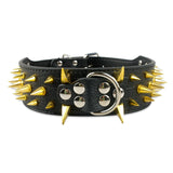 Dog Leather Spiked Collar.