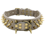 Dog Leather Spiked Collar