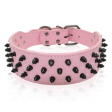 pink spiked dog collar