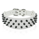 spiked leather collar