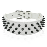 Dog Leather Spiked Collar.