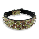 Dog Leather Spiked Collar.