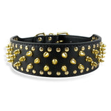 Dog Leather Spiked Collar.