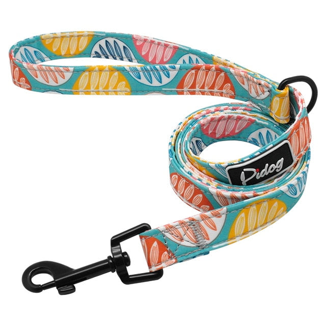 Patterned Dog Leash.