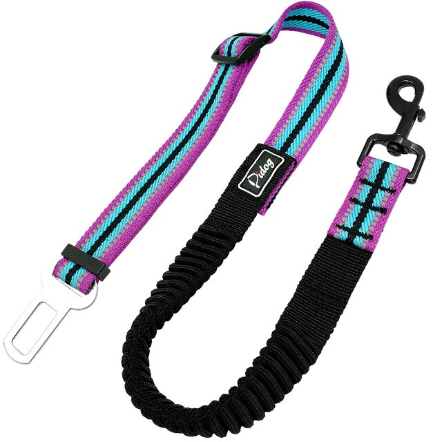 dog leash with seat belt attachment