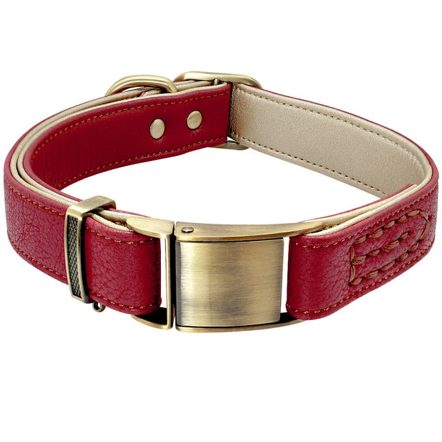 leather & stainless steel dog collar