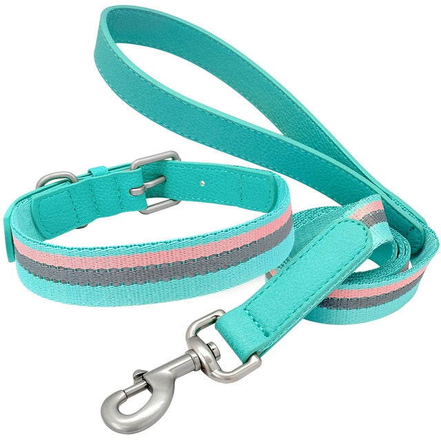 Nylon Dog Collar And Leash Set.