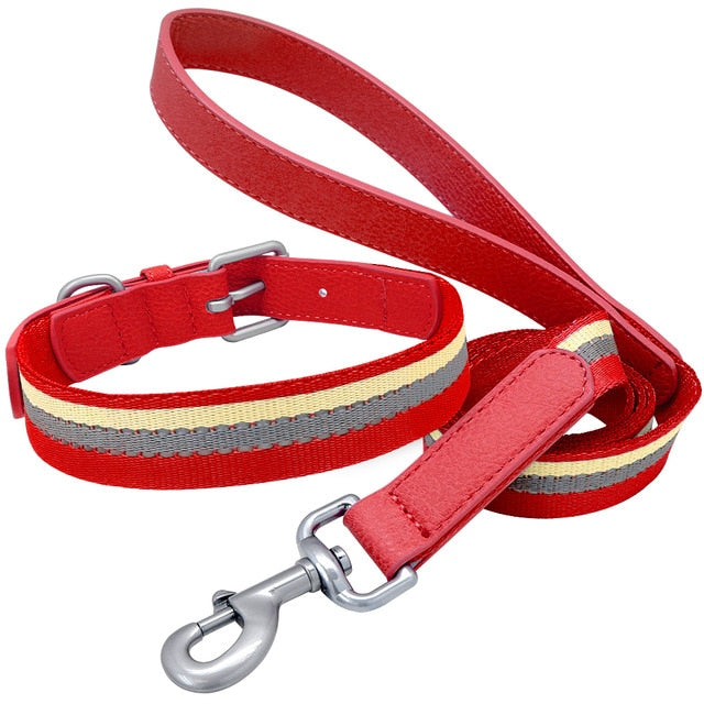 Nylon Dog Collar And Leash Set.