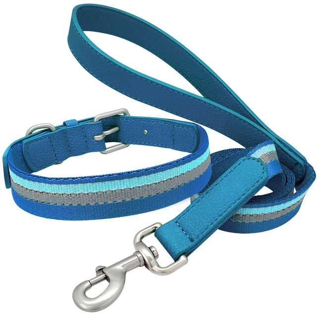 Nylon Dog Collar And Leash Set.