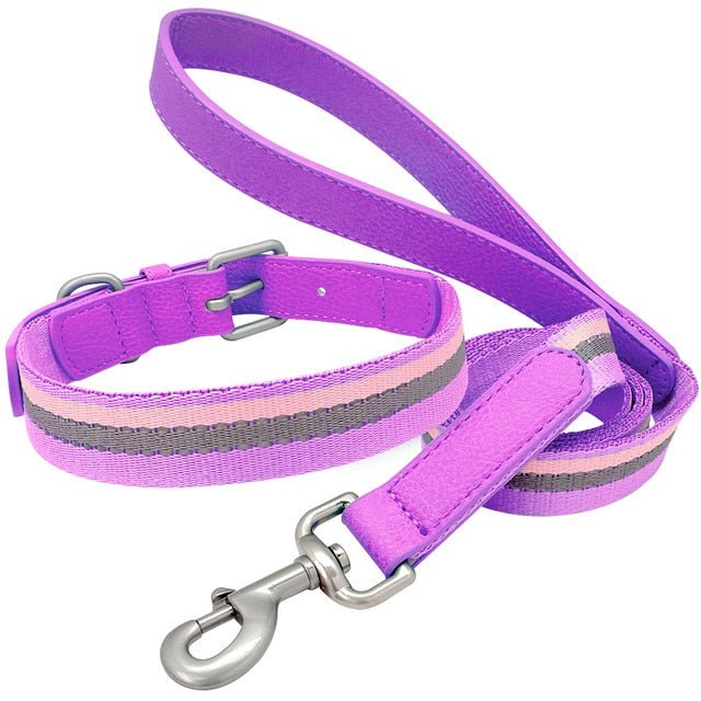 Nylon Dog Collar And Leash Set.