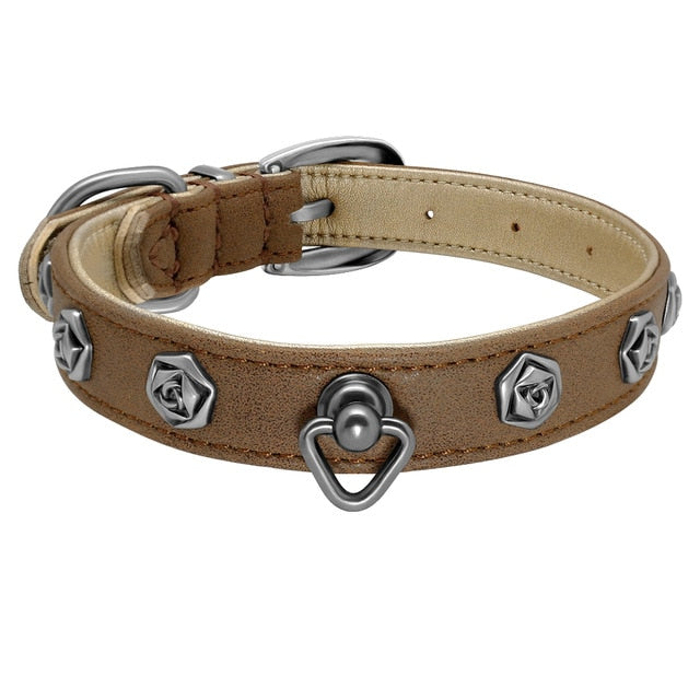 brown leather studded dog collar