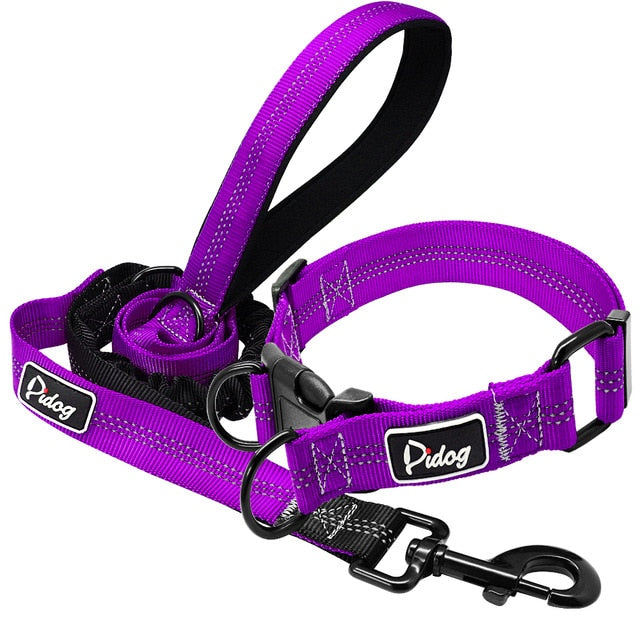 Leashes and collar set for Large Dogs