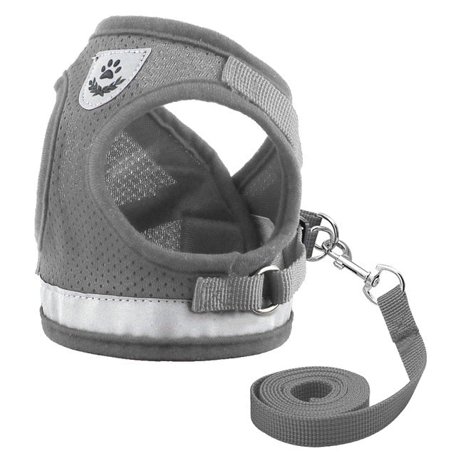 mesh harness for small dogs