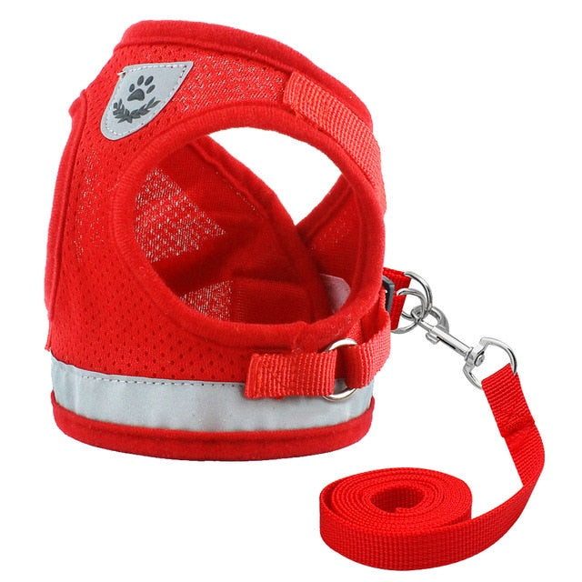 red soft mesh harness and leash set