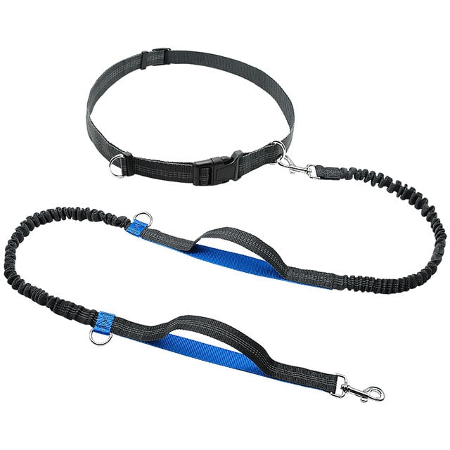Hands-Free Reflective Dog Leash.