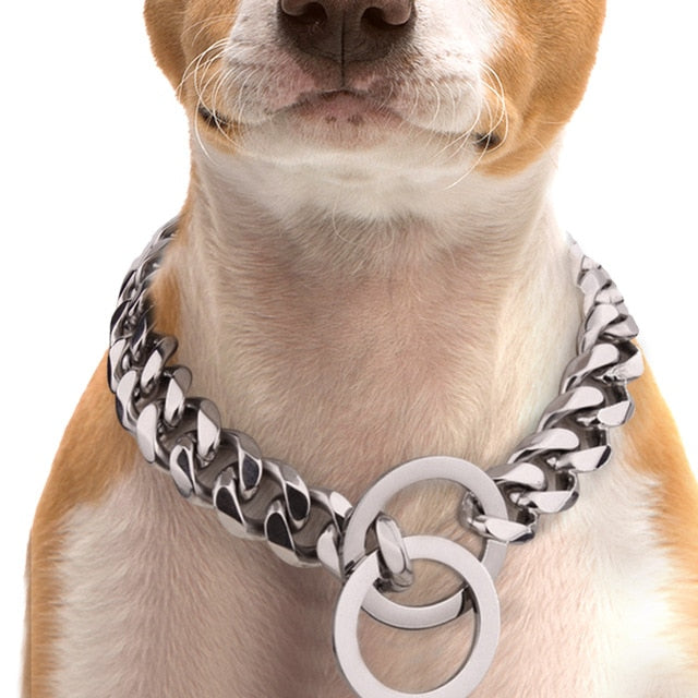 Dog Link Chain Collar.
